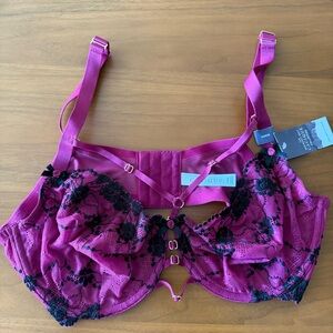 Gorgeous Cacique Lane Bryant NWT And Black Lace Bra Size 42DD